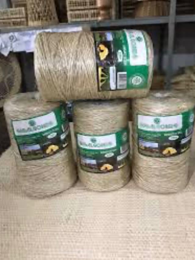 SISAL GOMES